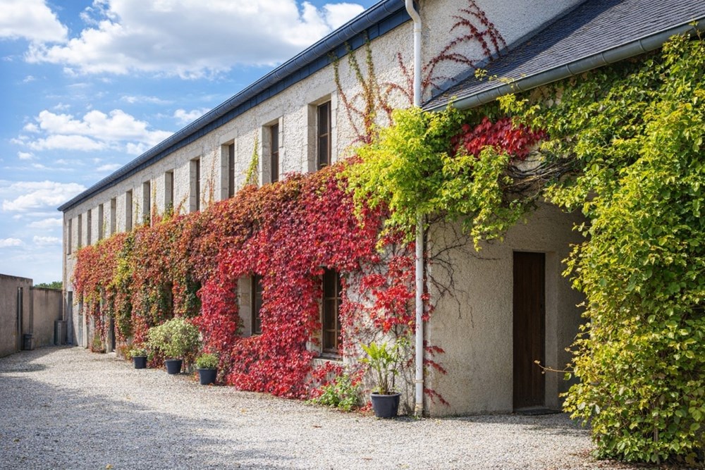 PLOUIDER - MAISON - 300 M2
