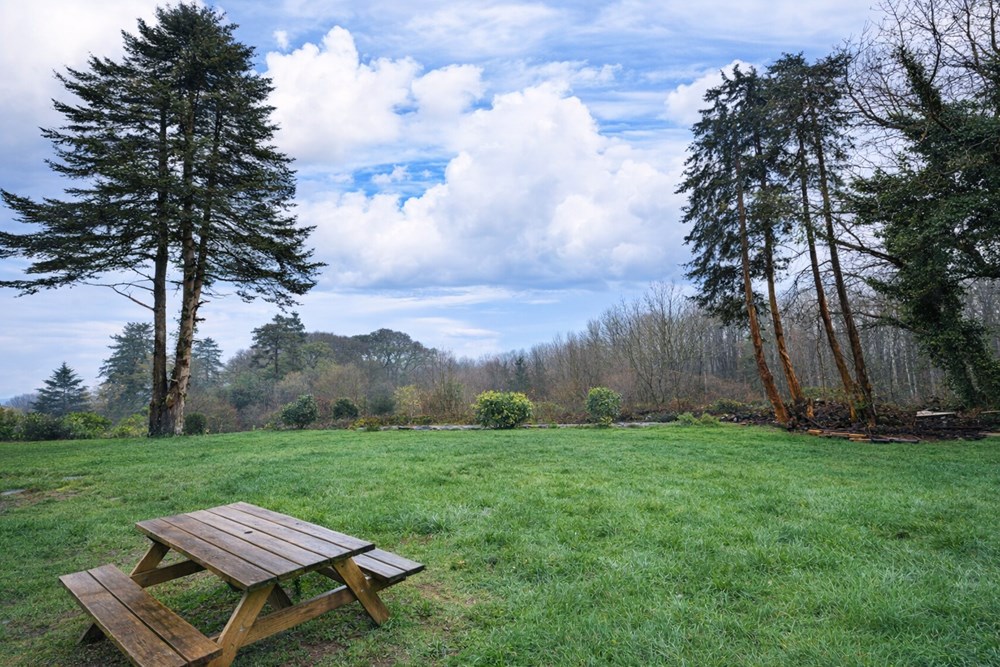 LA FOREST-LANDERNEAU - MAISON - 120 M2 photo 5