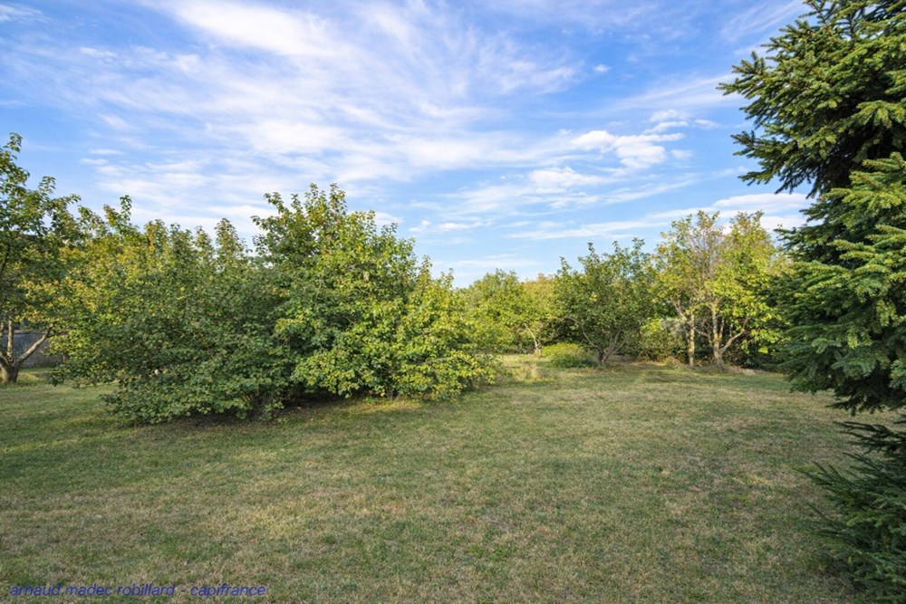 CROZON - LOCAL - 130 M2 photo 2