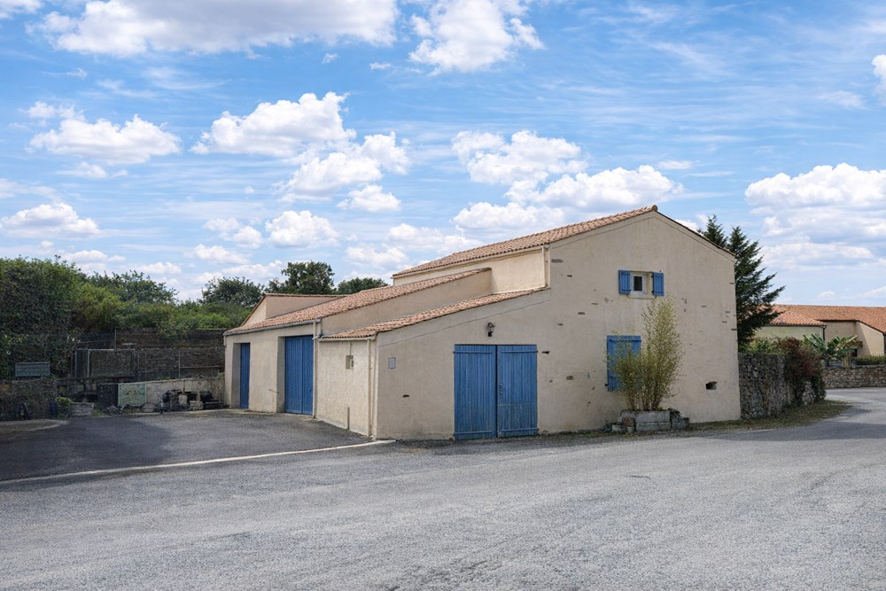 LE POIRé-SUR-VIE - MAISON - 200 M2 photo 5