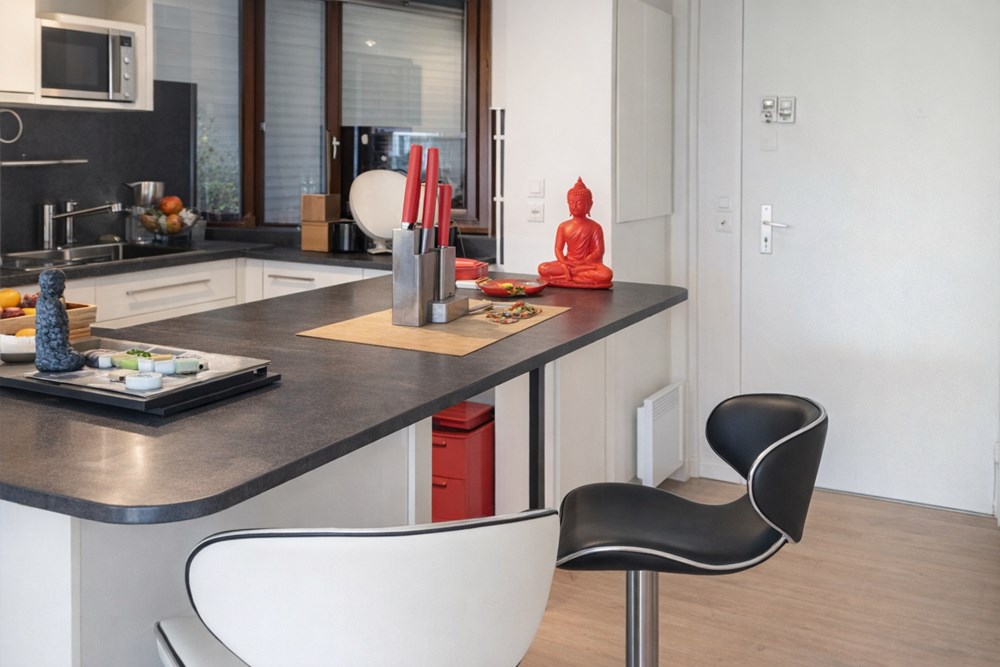SAINT-JACQUES-DE-LA-LANDE - APPARTEMENT - 48 M2 photo 2
